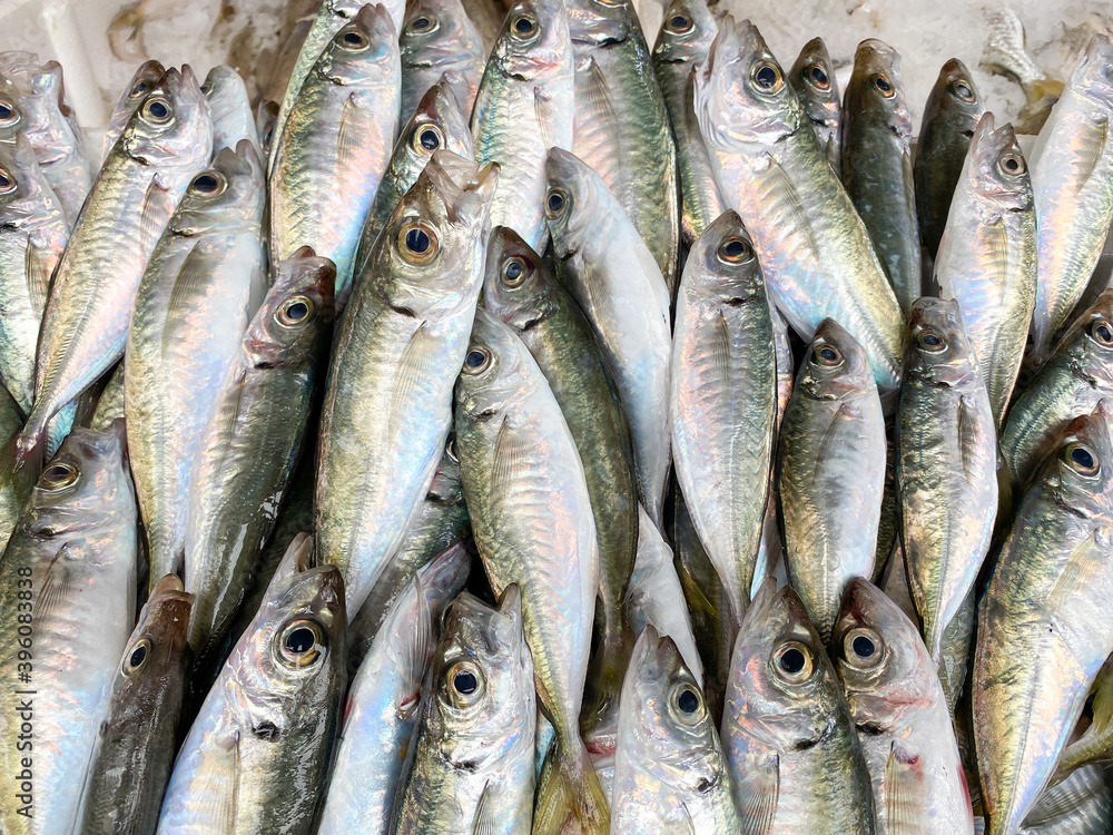 Fresh horse mackerel waiting to be sold at the fishing counter Fresh horse mackerel waiting to be sold at the fishing counter