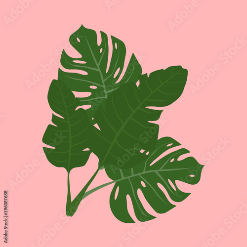 Set of exotic leaves 