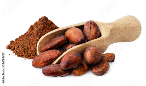 cacao beans in scoop