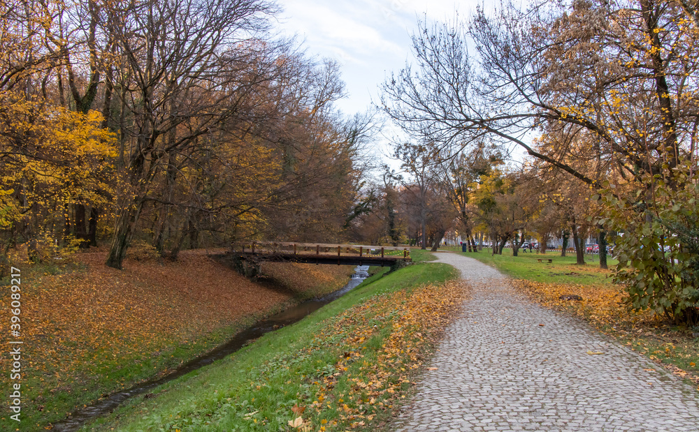 Fototapeta premium Walkway and water surrounded by woods