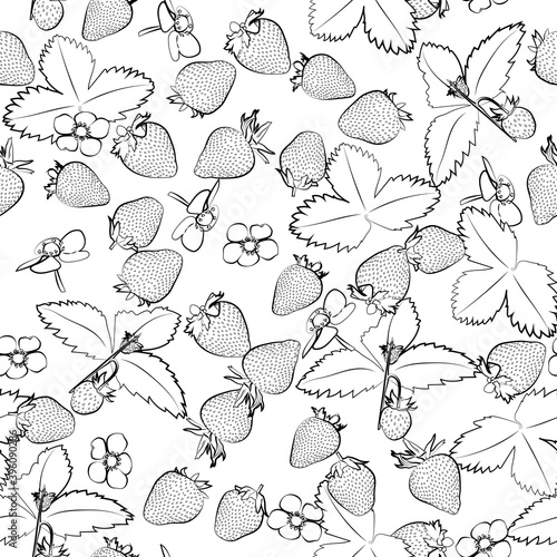 Seamless strawberry. Line drawing. Lines have different widths. Black white