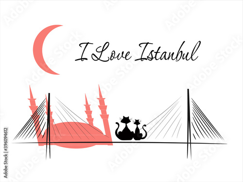 Simple vector image of the symbols of Istanbul.I love Istanbul.Logo, template for business cards, banners.