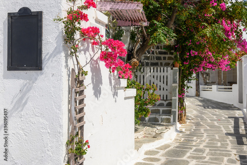 Greek whitewashed street decorated with bougainvillea flowers in Chora on Ios Island. Cyclades