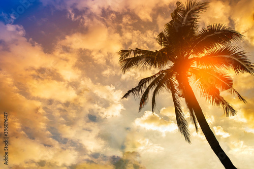 Copy space of silhouette tropical coconut tree with sun light on sunset sky and cloud abstract background. Summer vacation and nature travel adventure concept.