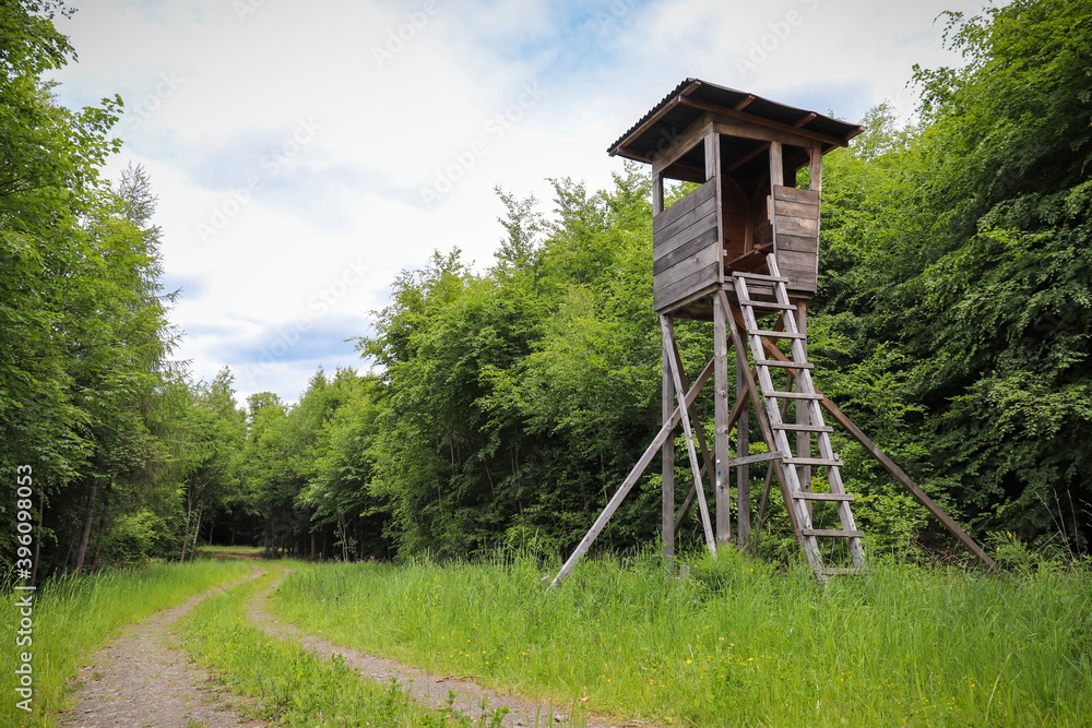 Hunting stand next to a walking path on a spring day in the Palatinate Forest of Germany.