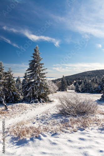 Orlicke Mountains in winter, Czech Republic