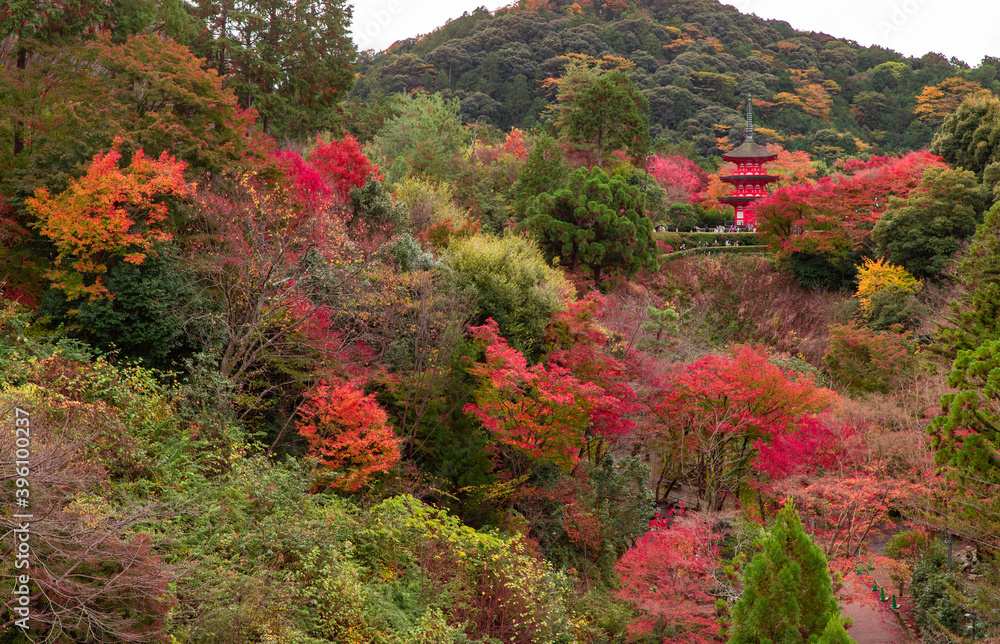 美しい京都の紅葉風景