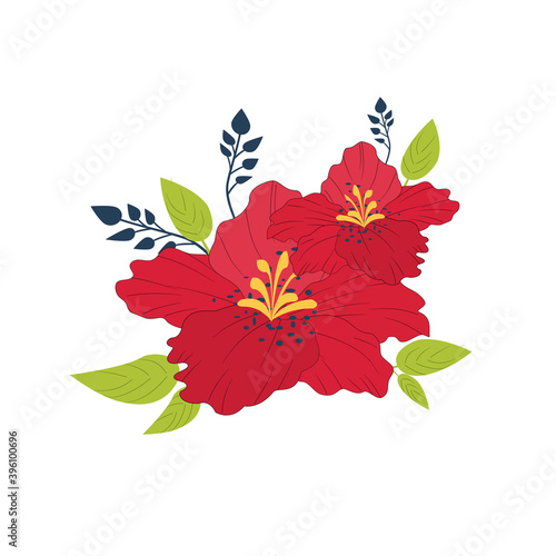 Beautiful red Hibiscus flower , buds and leaves isolated on white background.Two red tropical flowers , Exotic Plumeria and small blue flowers with green leaves.Vector isolate flat design.
