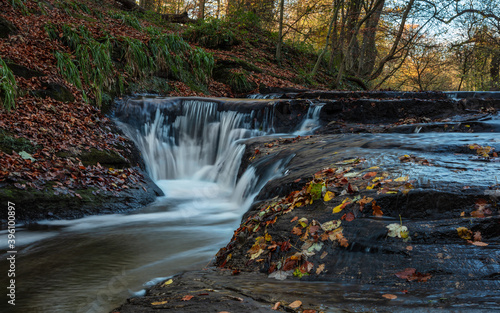 фотографія Golden Hole Waterfall in Holywell Dene in the county of Northumberland, England, UK