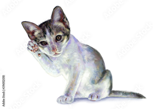 Adorable white kitten riase front leg, like greeting pose. photo