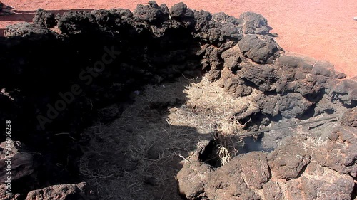 Straw burning on volcanic ground hole in Timanfaya National park. Smoke coming out of tourist attraction in Lanzarote island, Spain