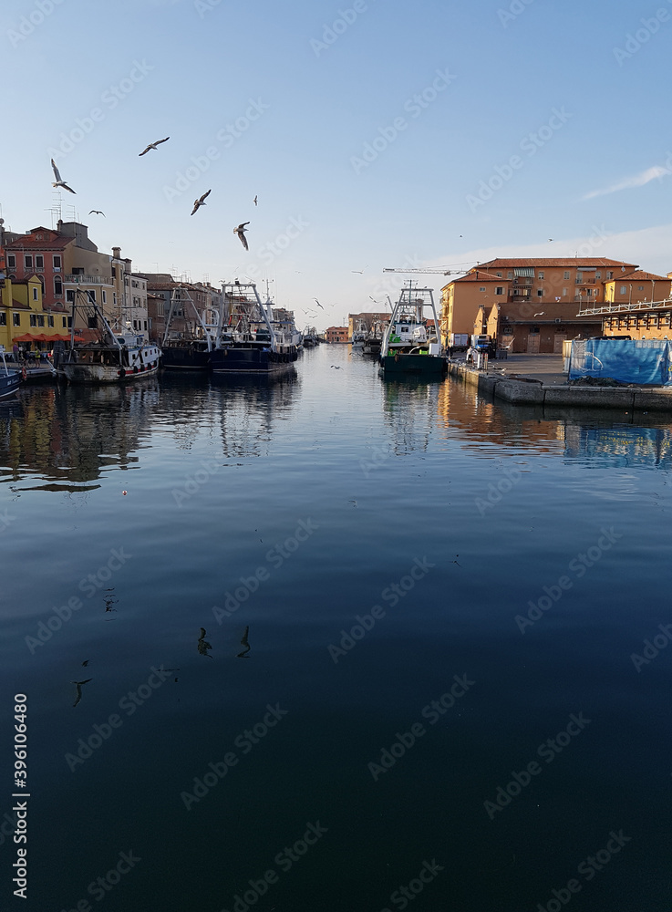 seagulls over fishing boats in Chioggia italy