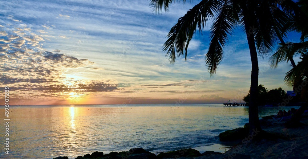 Sunset and Palm Trees over the sea