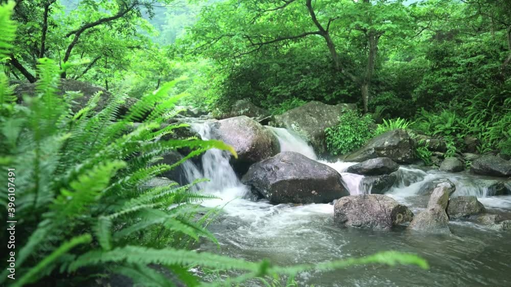 Mountain stream in tropical forest, stream flowing over rocks Mountain stream in tropical forest, stream flowing over rocks