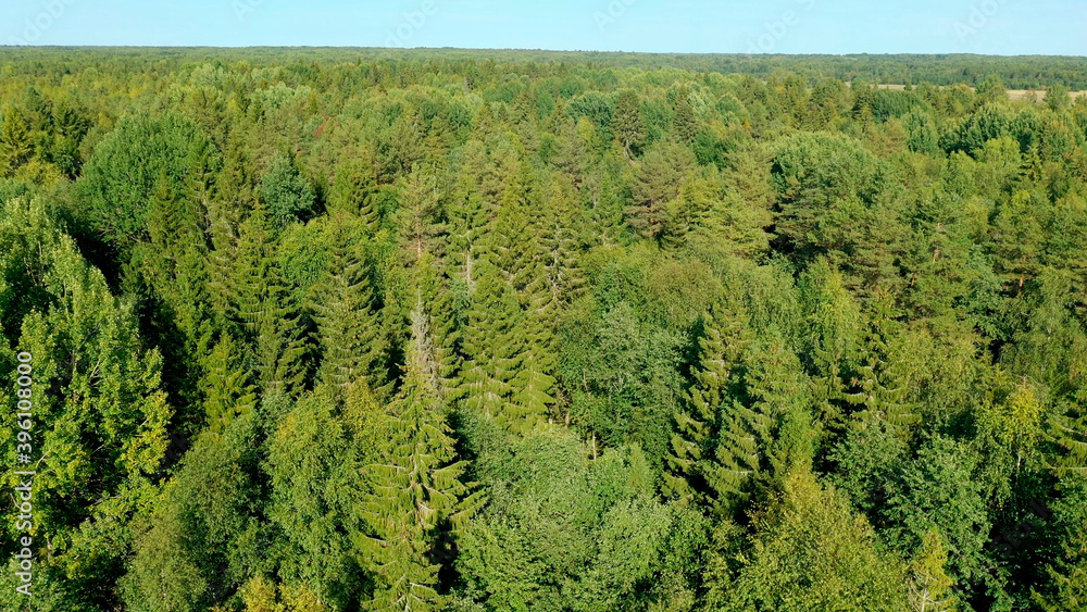 Landscape with green forest and field. Natural nature from a bird's eye view. Landscape with green forest and field. Natural nature from a bird's eye view.