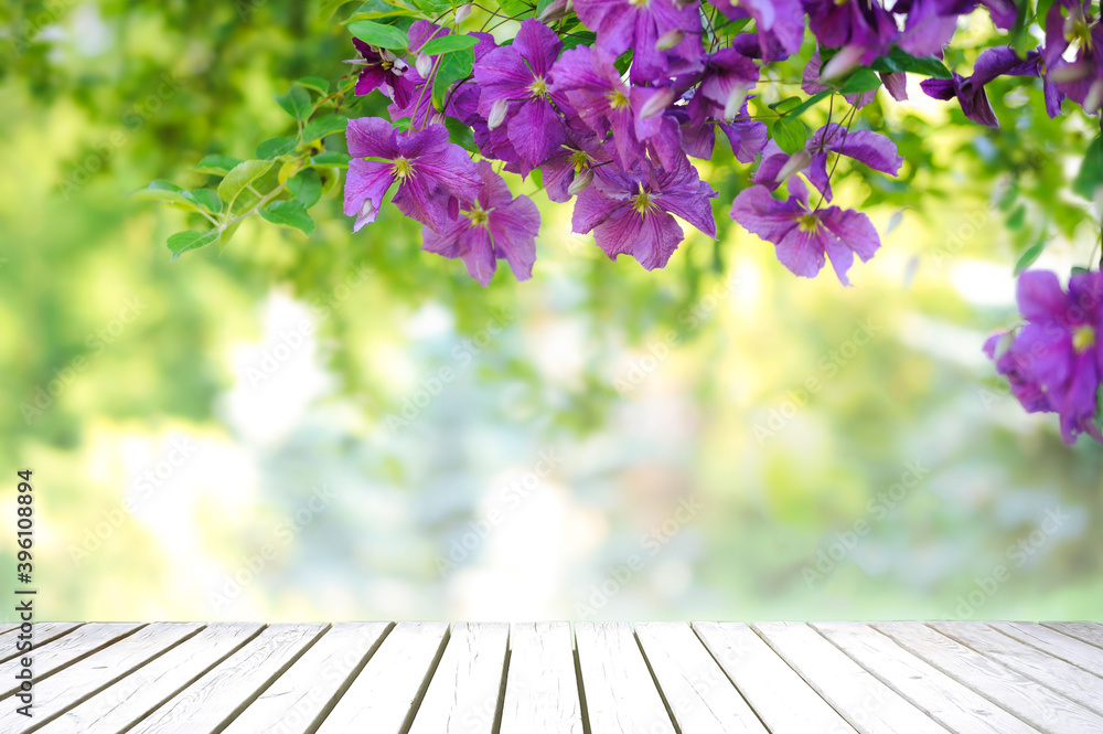 Natural summertime template - fresh green leaves and violet flowers of clematis over an empty wooden vintage table on a sunny day with copy space