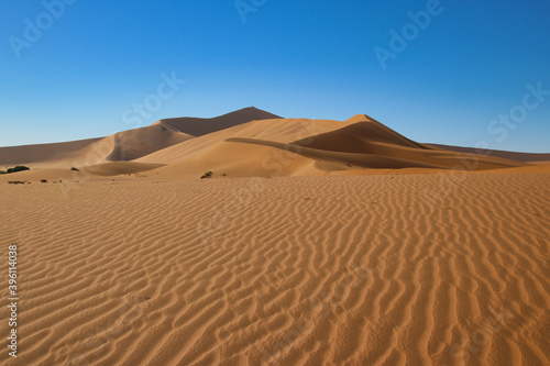 giant red sand dunes in Sossusvlei Namib Desert - Namib-Naukluft National Park  Namibia  Africa