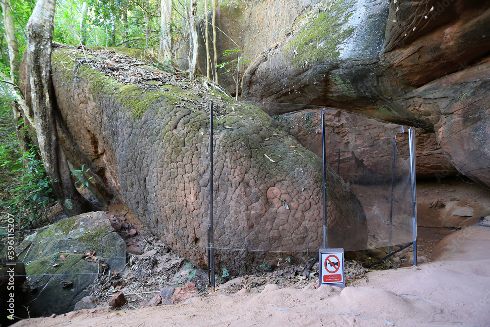 Obraz premium Naga cave, Amazing of Naga scales rock stone mountain in Phu Langka National Park, Bueng Kan of Thailand, Sun Cracks