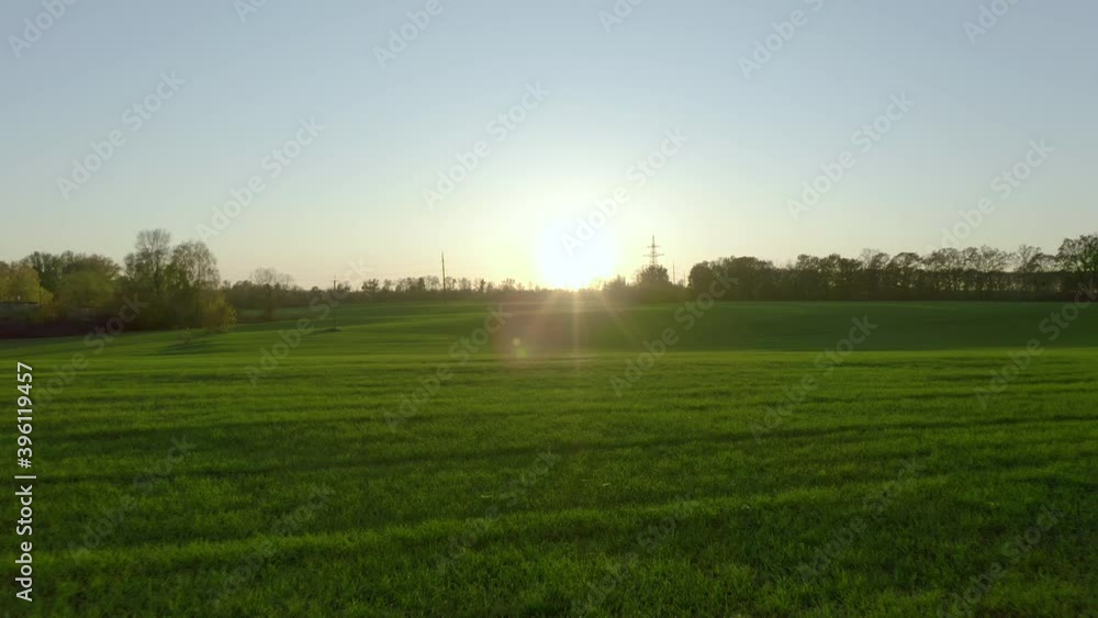 Beautiful vast field of green grass or agriculture crops at sunset, aerial view Beautiful vast field of green grass or agriculture crops at sunset, aerial view