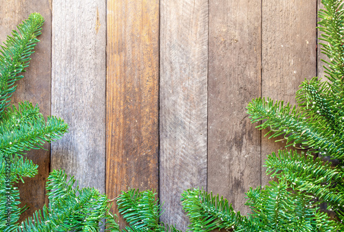christmas tree branches on wooden background