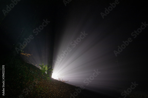 Lichtspiel im Nebel © Holger