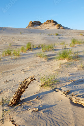 Leba sand dune