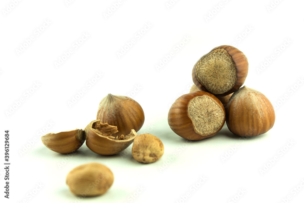 Hazelnut on a white background with space for text Hazelnut on a white background with space for text