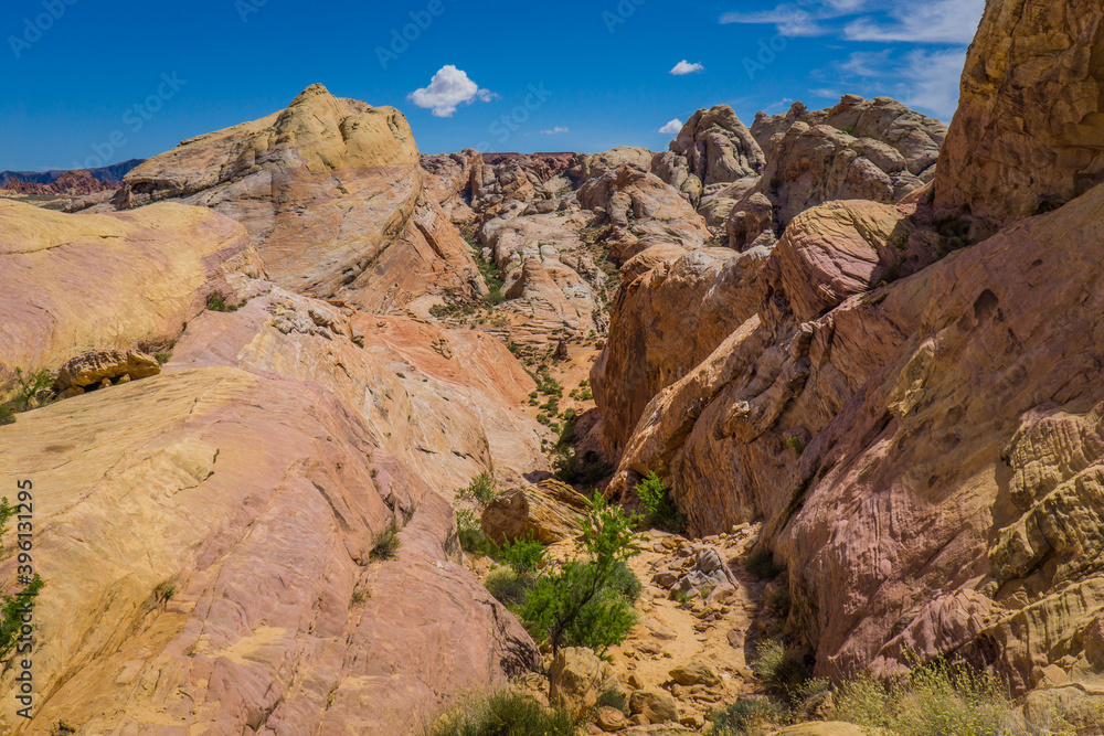 Typical arid and colorful landscape of the Valley of Fire in Nevada. Here the White Domes trail