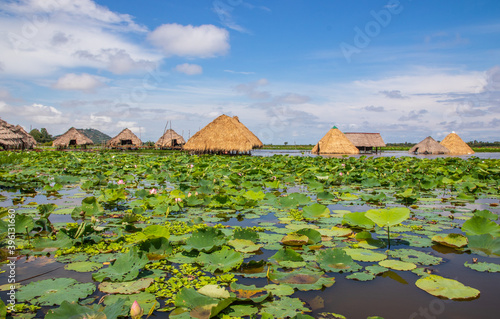 Tonle sap sea in Cambodia Asia