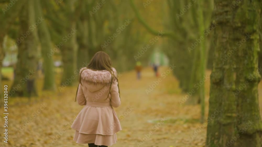 Lone Young Woman Walks Through Avenue Park With Blurry Autumn Landscape, Back View, Slow Motion Lone Young Woman Walks Through Avenue Park With Blurry Autumn Landscape, Back View, Slow Motion
