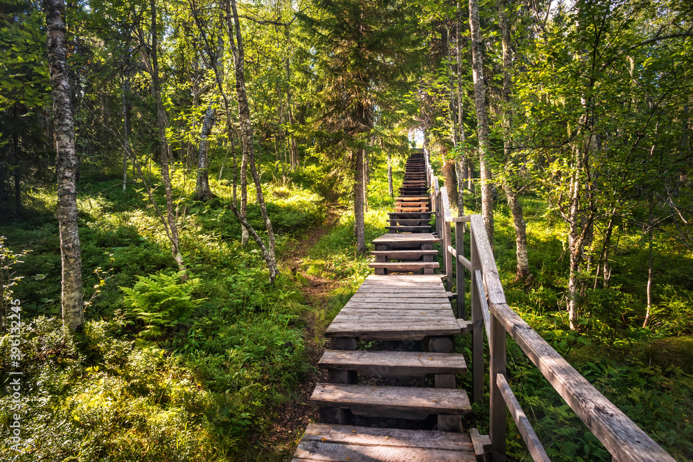 Fototapeta premium Wooden staircase to the Eleazarovaya Desert hill on Anzer Island (Solovetsky Islands)