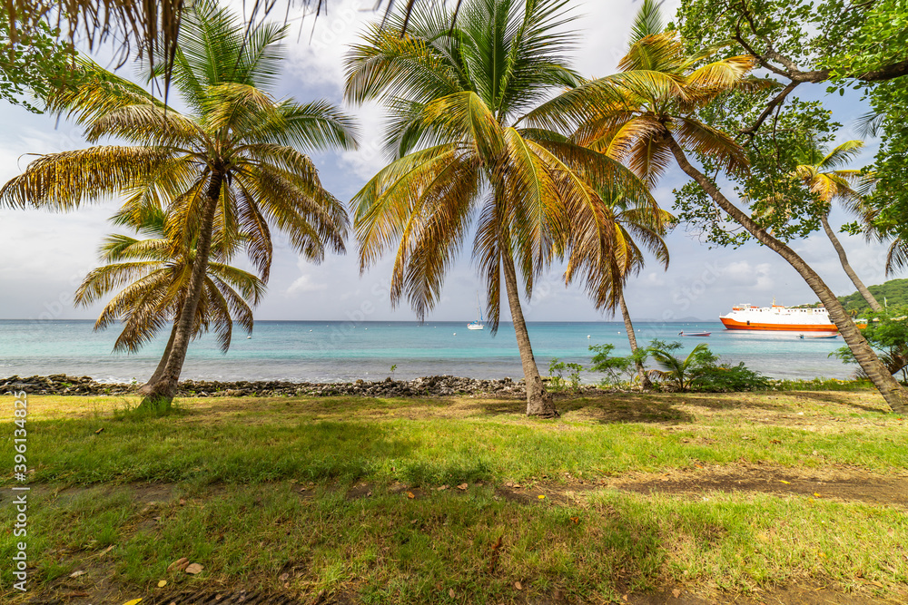 Saint Vincent and the Grenadines, Britannia bay beach, coconut palms, Mustique Saint Vincent and the Grenadines, Britannia bay beach, coconut palms, Mustique
