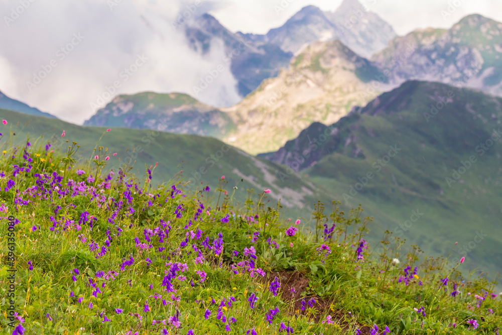 Obraz premium Beautiful mountain landscape at Caucasus mountains with clouds and blue sky