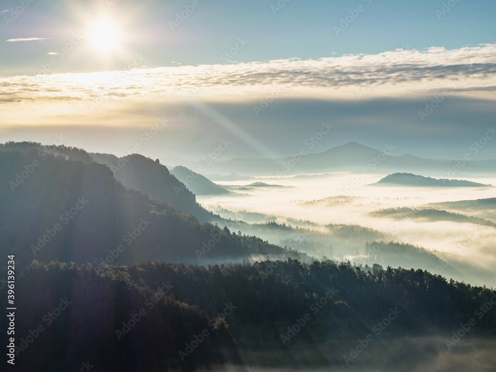 Amazing foggy Autumn shining fog above hilly landscape with fir forest