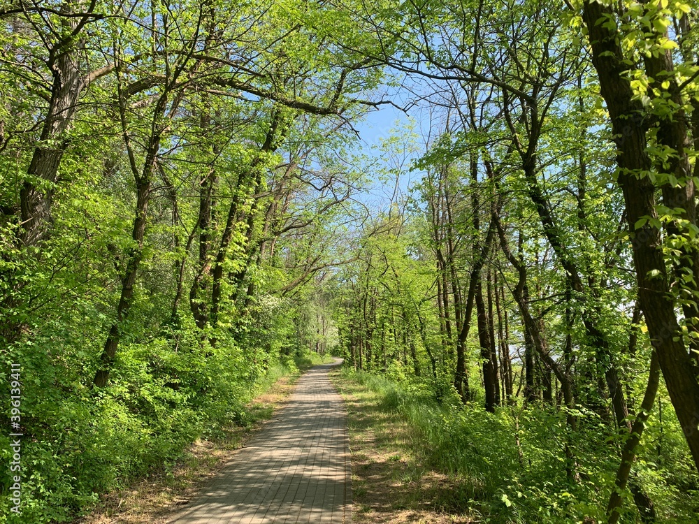 Fototapeta premium Natur Pur Elberadweg