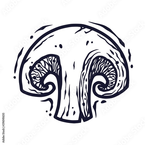 Vector illustration of champignon. Autumn mushroom picking for vegan food and cooking design