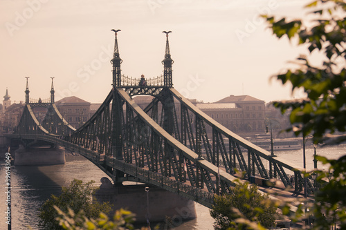 A metal bridge on two pillars with openwork decorations over a wide river in a European city. Clear sky. No people, no transport