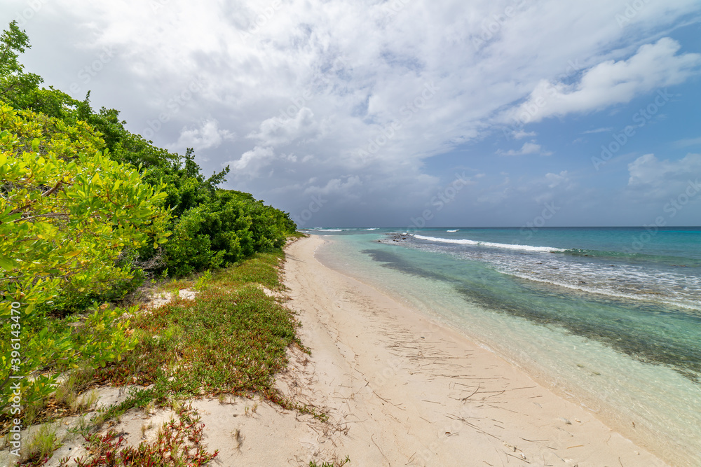 Fototapeta premium Saint Vincent and the Grenadines, Britannia bay, Mustique