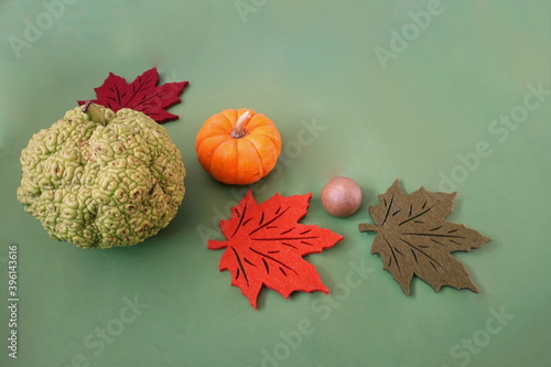 Small Pumpkin Monkey Brains Felt Leaves on Green photo