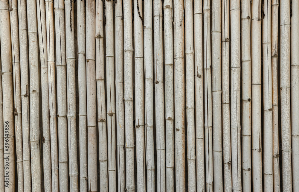 Bamboo fence texture background. Bamboo wall background. Dry bamboo texture exactly vertically straight wall floor light. Eco natural background concept Bamboo fence texture background. Bamboo wall background. Dry bamboo texture exactly vertically straight wall floor light. Eco natural background concept