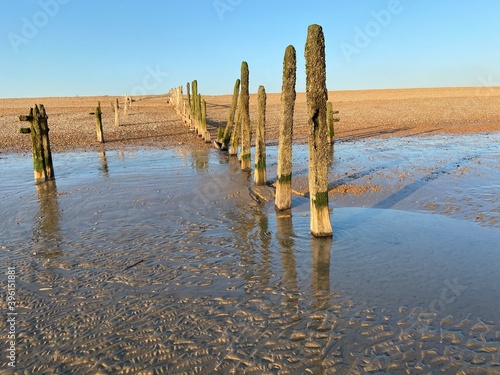 Winchelsea beach landscape view at low tide exposing flat sand with wooden sea groynes protruding from the sand close to Rye Harbour nature reserve 