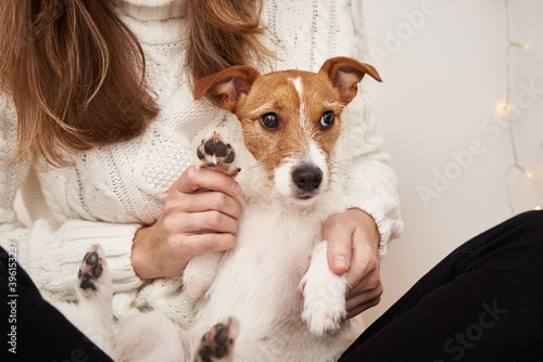 Woman hold dog on her hands. Pet care concept