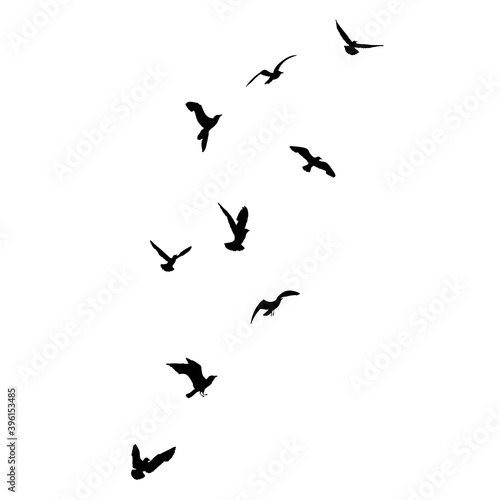 Silhouette set of flying seagulls birds on white background. Inspirational body flash tattoo ink of sea birds. Vector. © desertsands