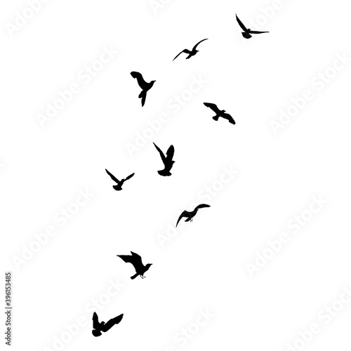 Silhouette set of flying seagulls birds on white background. Inspirational body flash tattoo ink of sea birds. Vector.