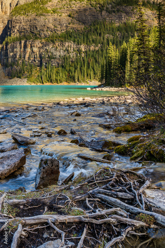 Small creek and valley on the lakeshore in the forest on a sunny day.