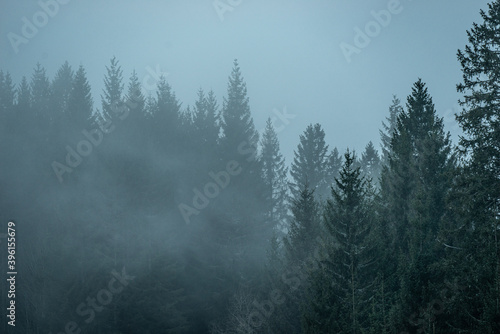 Schwarzwald Nebel düstere Stimmung  © SGoldschmidt