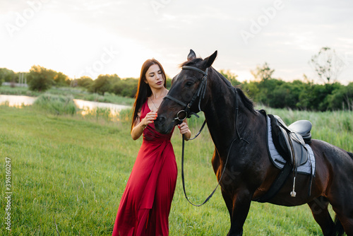 A young pretty girl in a red dress poses on a ranch with a thoroughbred stallion at sunset. Love and care for animals