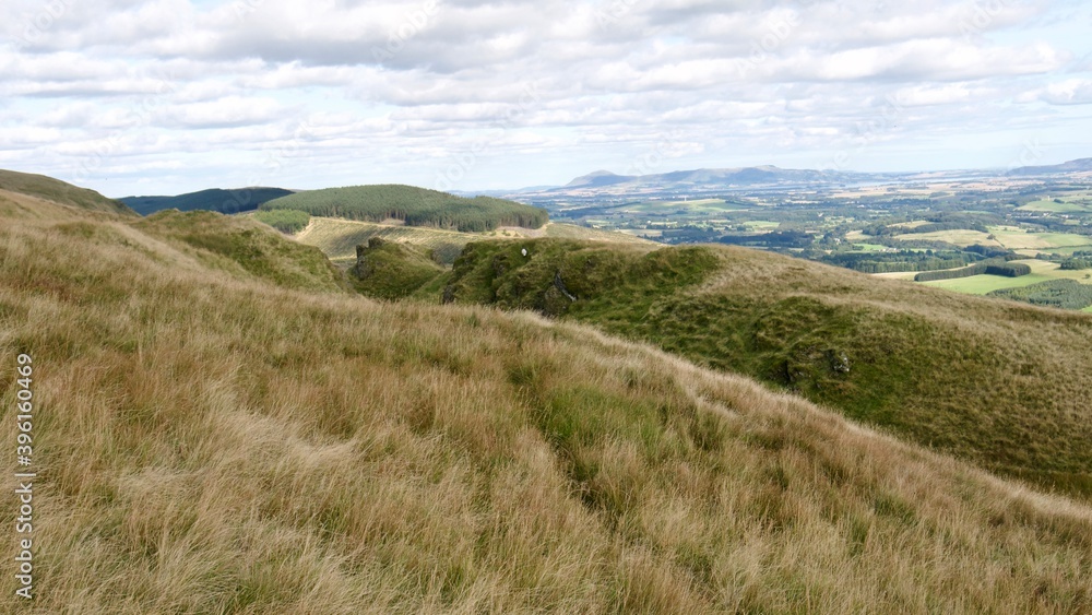 View of hills covered in a wild grass, Scotland View of hills covered in a wild grass, Scotland