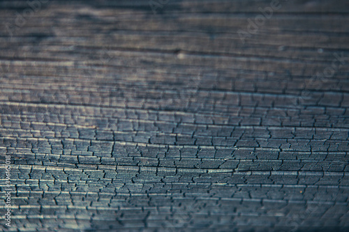 Burnt trees in a deforestation of native vegetation area at the Brazilian Amazon forest.