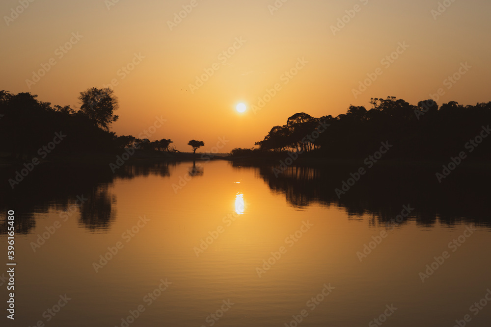 Bright and orange sunset with silhouette tree in an Amazon river. Tree silhouetted against a setting sun in the Brazilian Amazon rainforest. Bright and orange sunset with silhouette tree in an Amazon river. Tree silhouetted against a setting sun in the Brazilian Amazon rainforest.